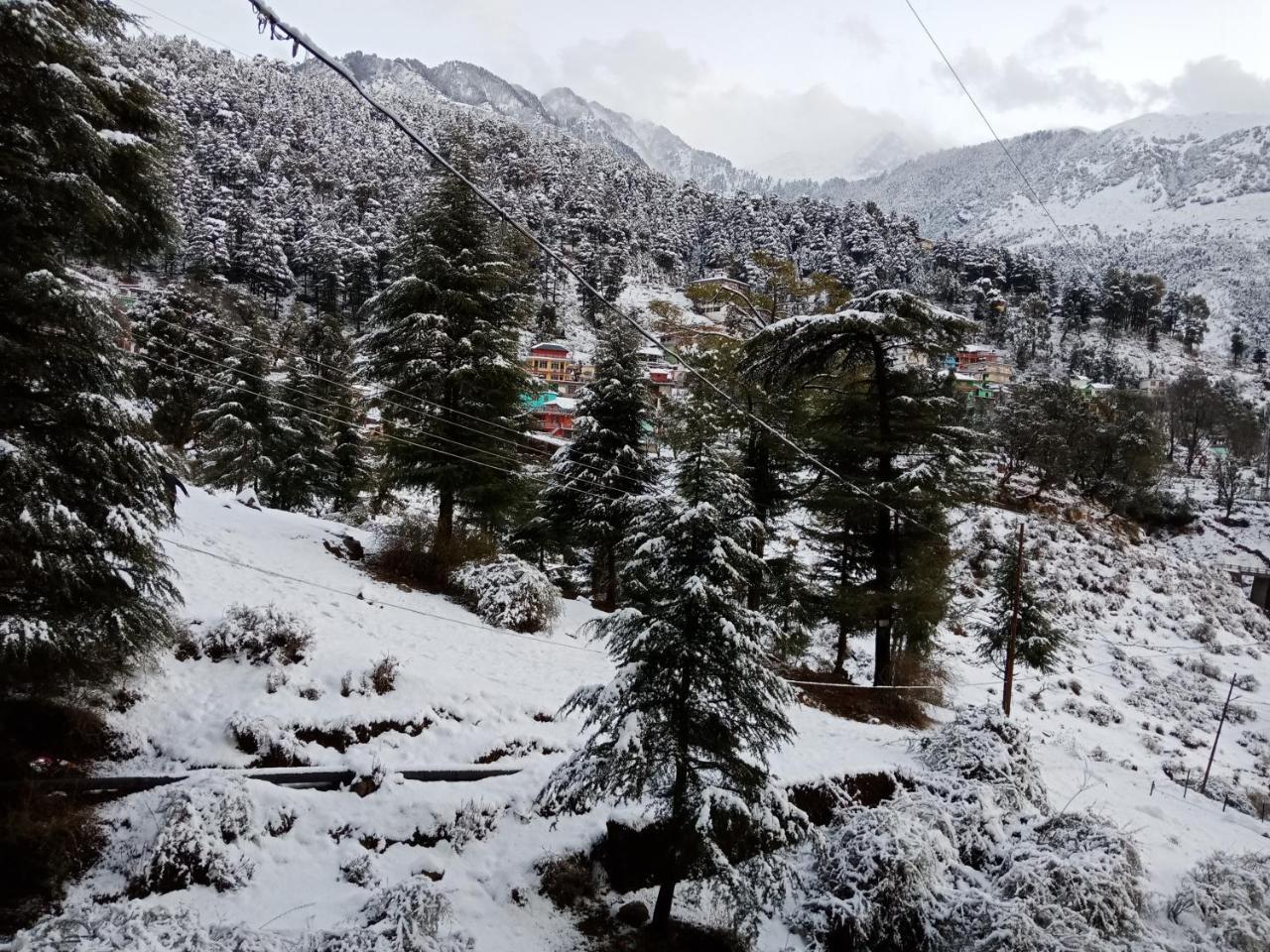دارامشالا Hotel Pine Spring المظهر الخارجي الصورة